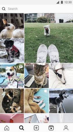 Instagram Lite