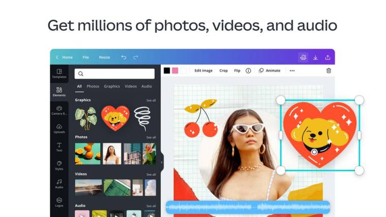 Canva Pro Mod Apk