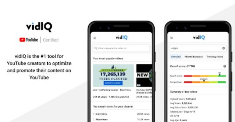 Vidiq Mod Apk