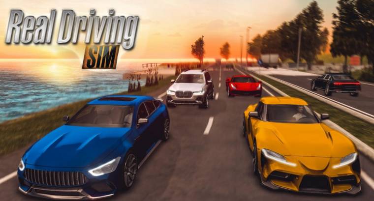 REAL DRIVING SIM MOD APK